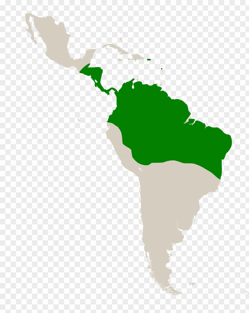Caribbean South America Latin Middle Geography PNG