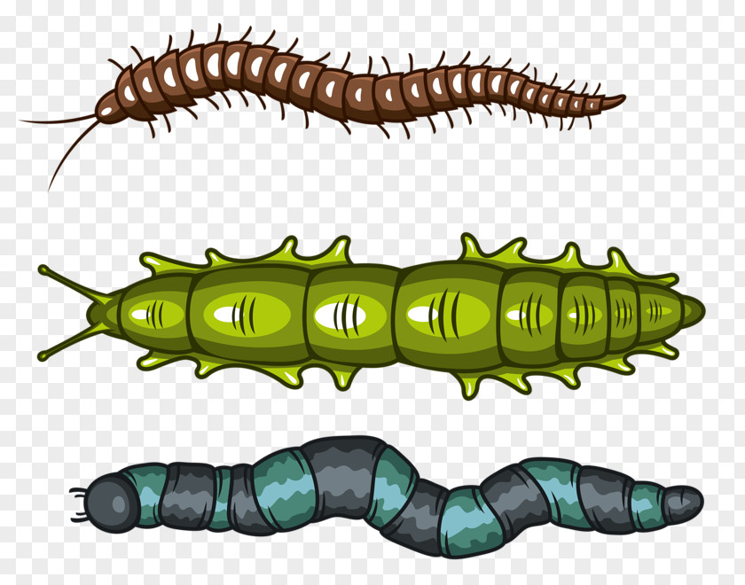 Caterpillar Inc. Worm PNG