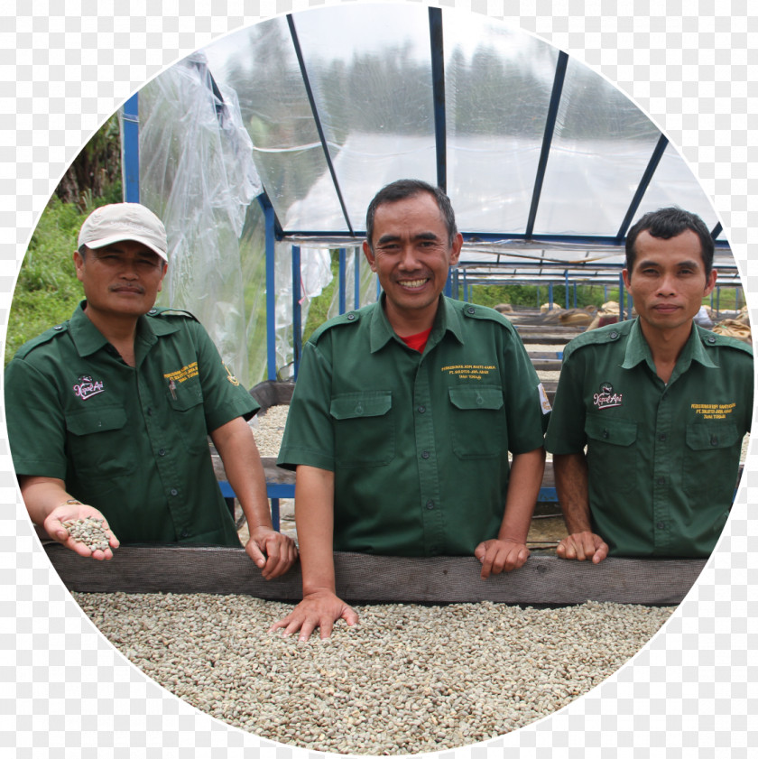 Coffee Awan Rante Karua Bean Arabica PNG