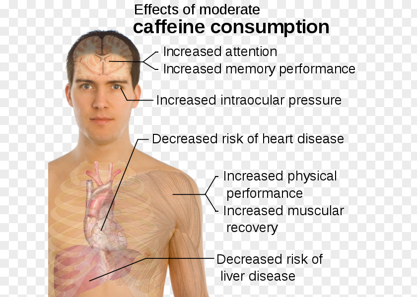 Coffee Energy Drink Caffeinated Rip It PNG