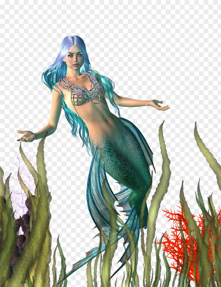 Mermaid Fairy Tale Myth PNG