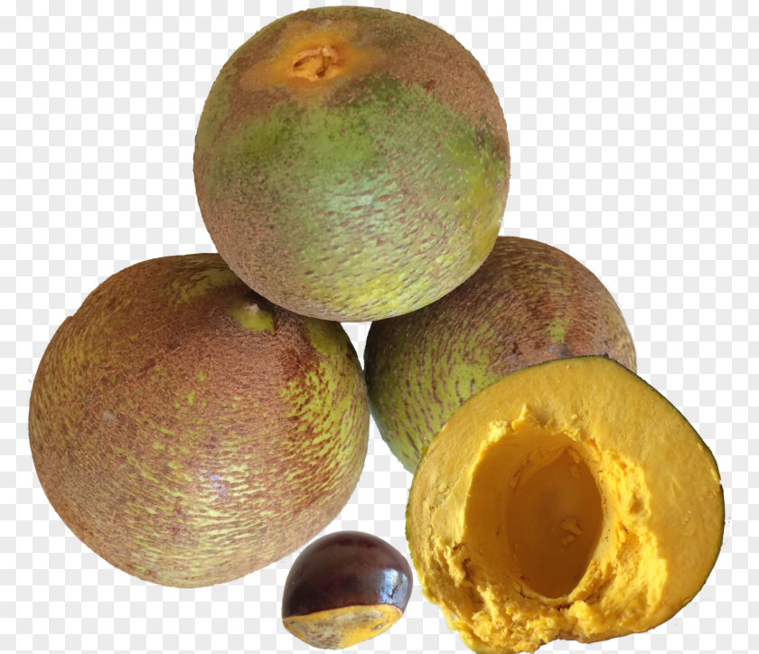 Peruvian Cuisine Lucuma Inca Empire Chilean PNG