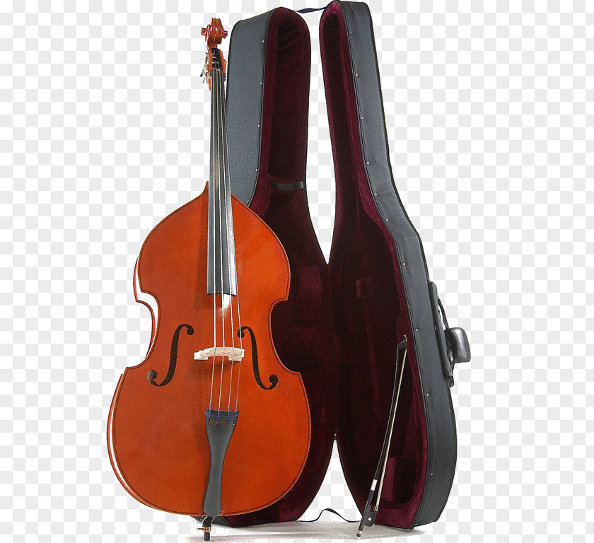 Bass String Instruments Cello Musical Guitar Bowed Instrument PNG