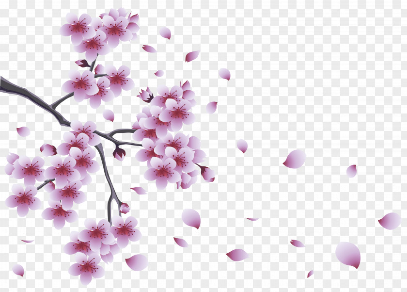 Bloom Tree Cliparts Flower Branch Clip Art PNG