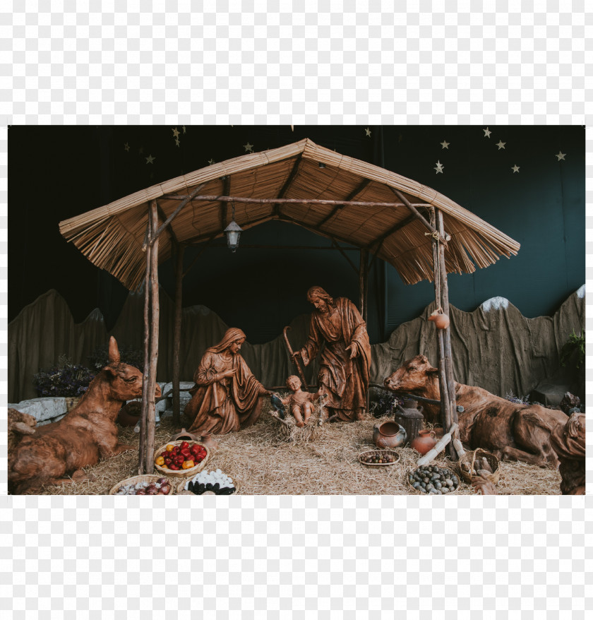 Christmas Nativity Scene Gospel Of Luke Jesus Gift PNG
