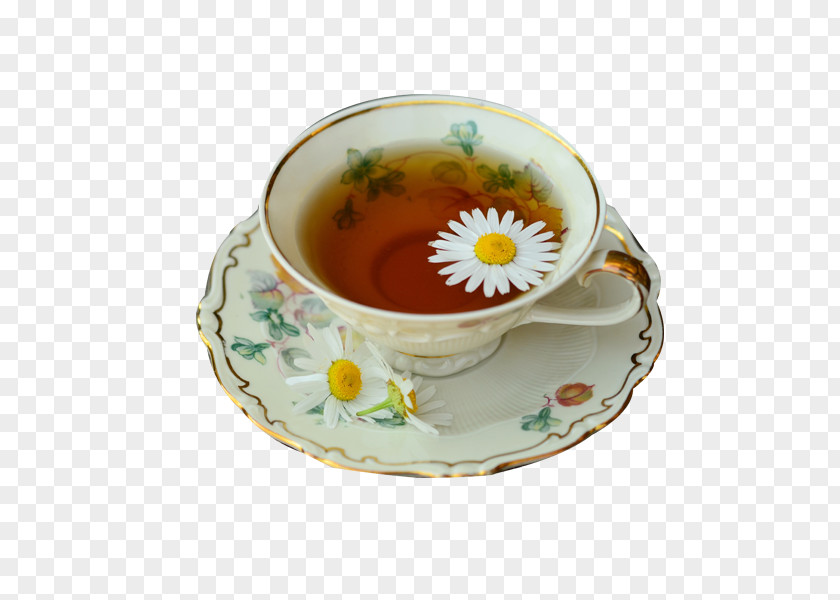 Exquisite Chrysanthemum Tea Green Drink Herbal PNG