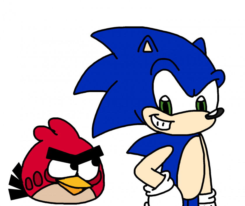 Hedgehog Sonic The Angry Birds Epic Colors Sega PNG