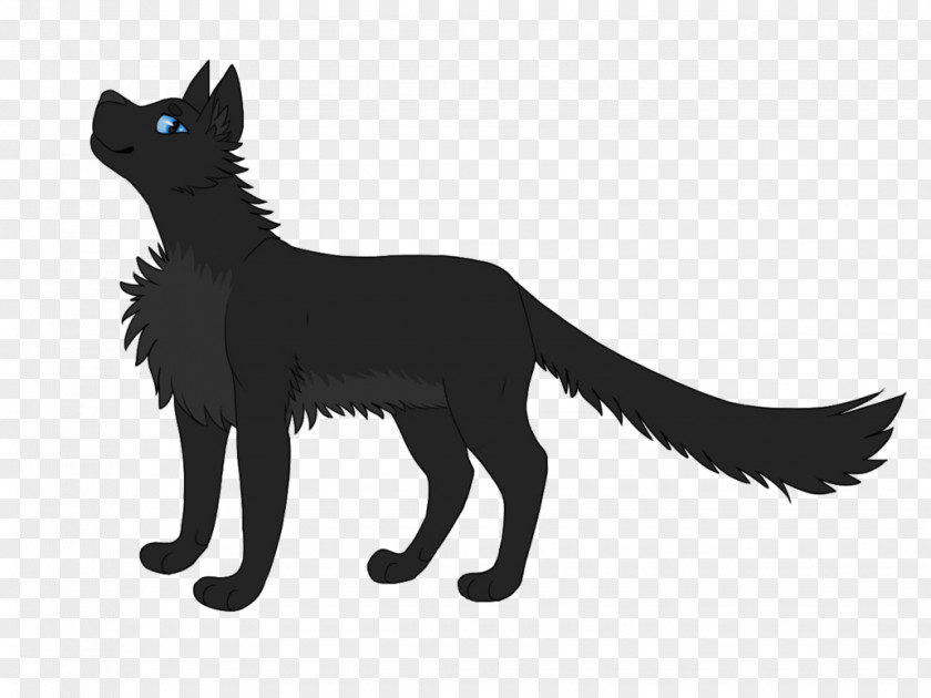 Kitten Black Cat Whiskers Dog PNG