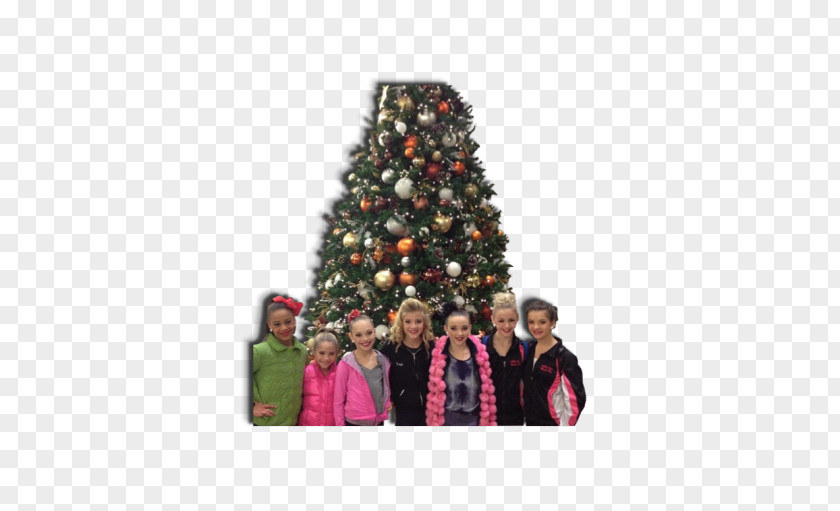 Maddie Ziegler Christmas Decoration Spruce Tree Fir PNG