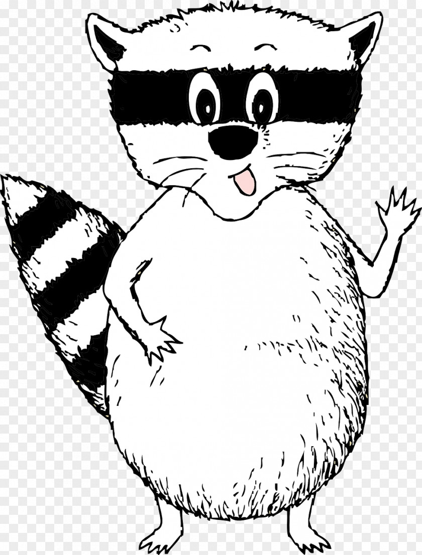 Raccoon Clip Art Cartoon Drawing Black And White PNG