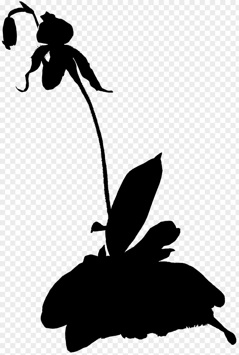 Clip Art Illustration Silhouette Leaf Character PNG