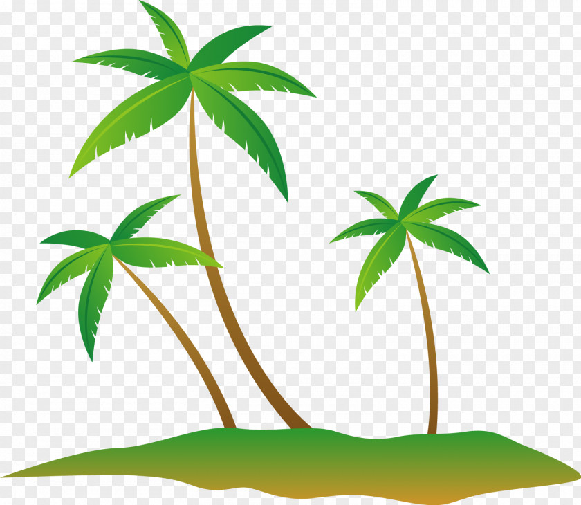Cool Summer Coconut Tree Island Vector Euclidean PNG