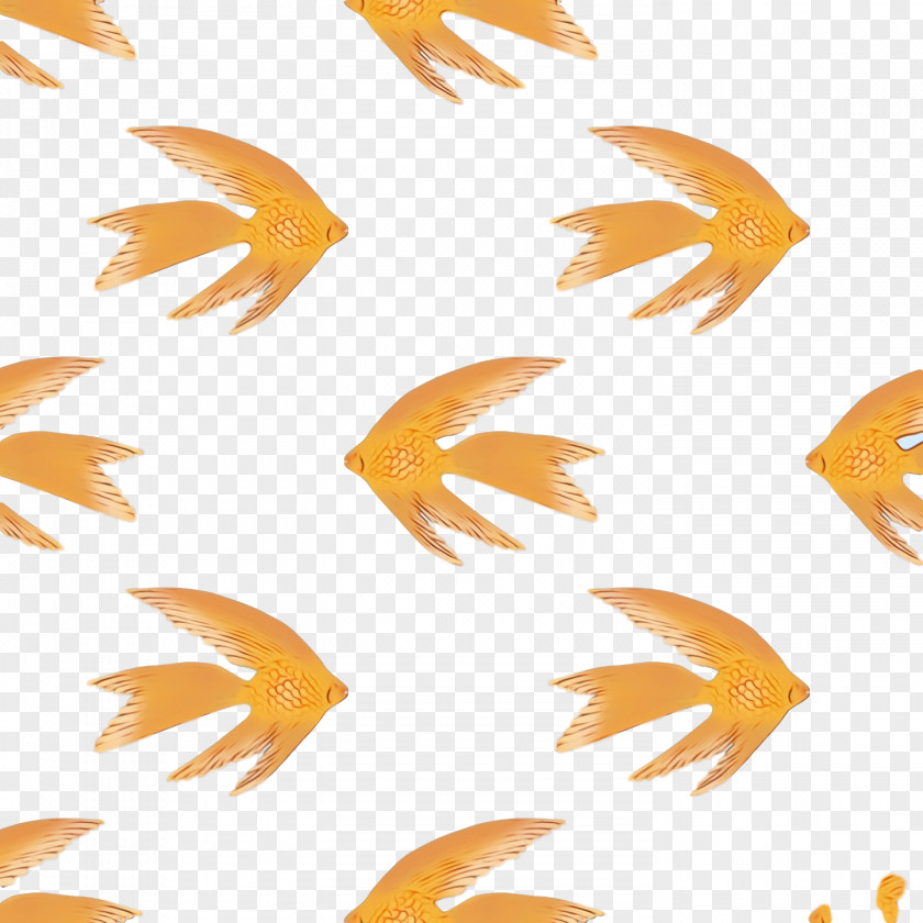 Fish Petal Pattern Biology Science PNG