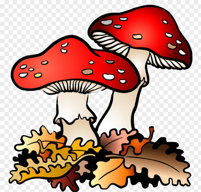 Natural Environment Fungus Drawing Mushroom Clip Art PNG