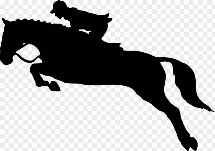 Classic Ride Cliparts Horse Equestrianism Show Jumping Silhouette Clip Art PNG