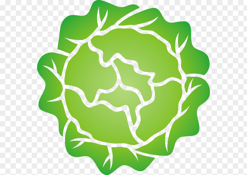 Cute Lettuce Cliparts Iceberg Salad Leaf Vegetable Clip Art PNG