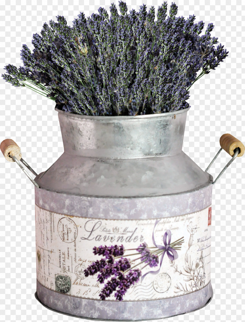 Flower Lavender Flowerpot PNG