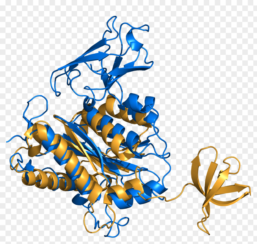 PyMOL Clip Art Protein Flower Illustration PNG