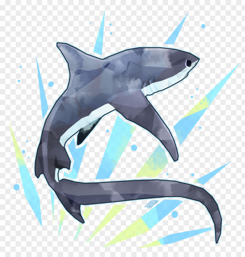 Sharks Tiger Shark Pelagic Thresher Common Drawing PNG