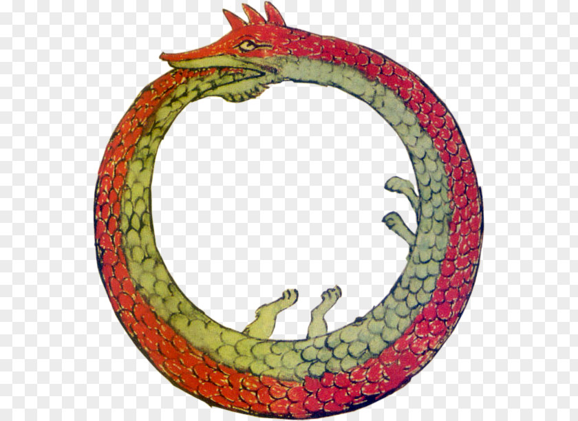 Symbol Ouroboros Alchemy Gnosticism Dragon PNG