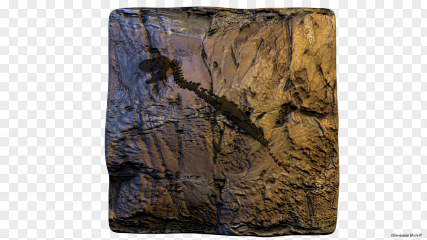 T Rex Skeleton Tyrannosaurus /m/083vt Rock Outcrop Wall PNG