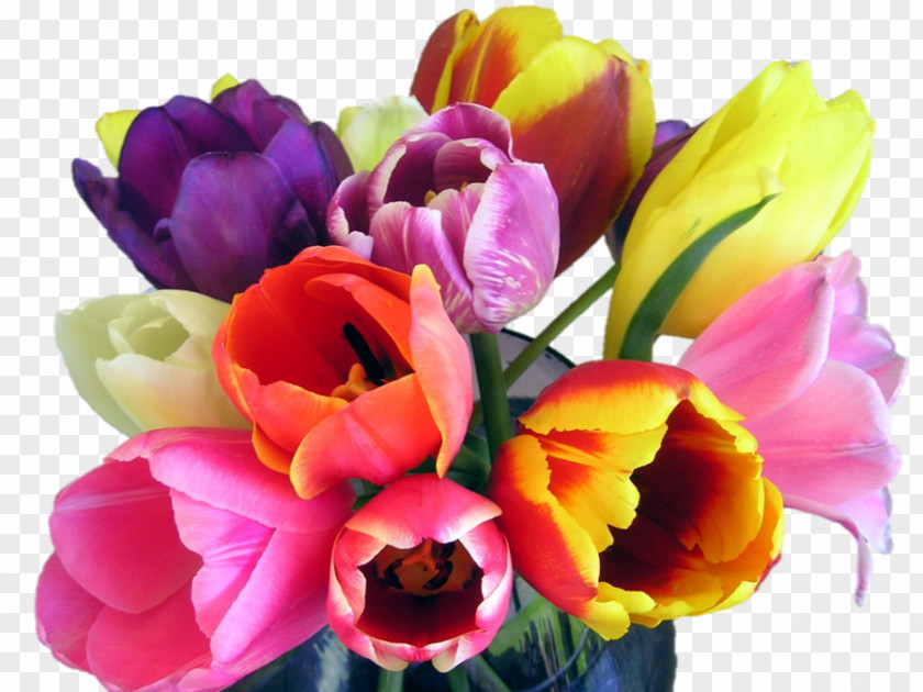 Tulip Floral Design Cut Flowers Flower Bouquet PNG