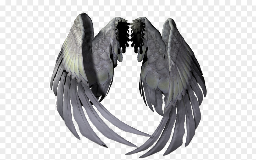 Angel Wings Icon Adobe Photoshop Clip Art GIF PNG