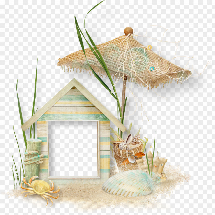 Beach Elements Picture Frame Photography Clip Art PNG