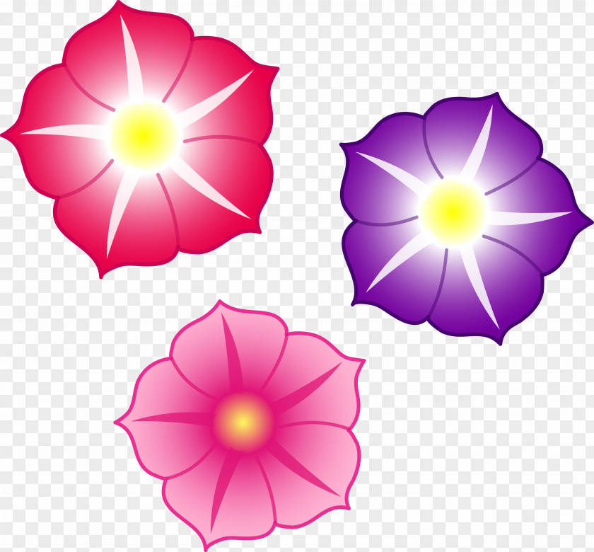 Colorful Flowers File Petunia Pink Drawing Clip Art PNG