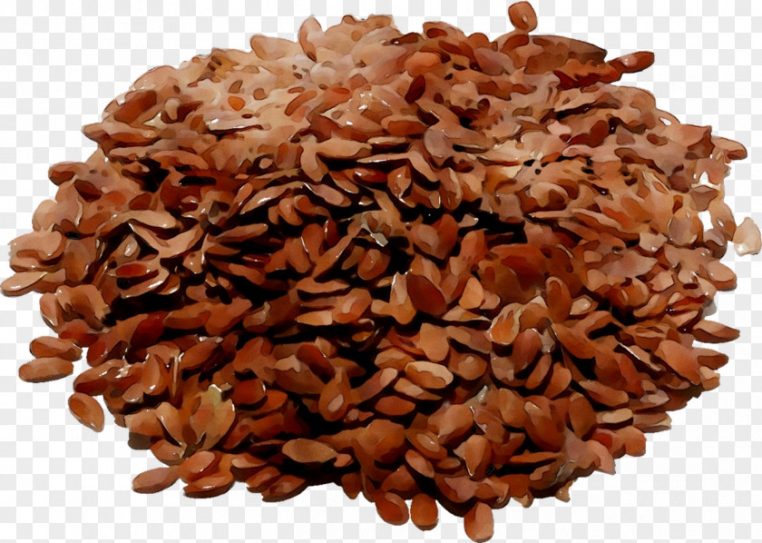 Flax Health Systemic Lupus Erythematosus Medicinal Plants Herb PNG