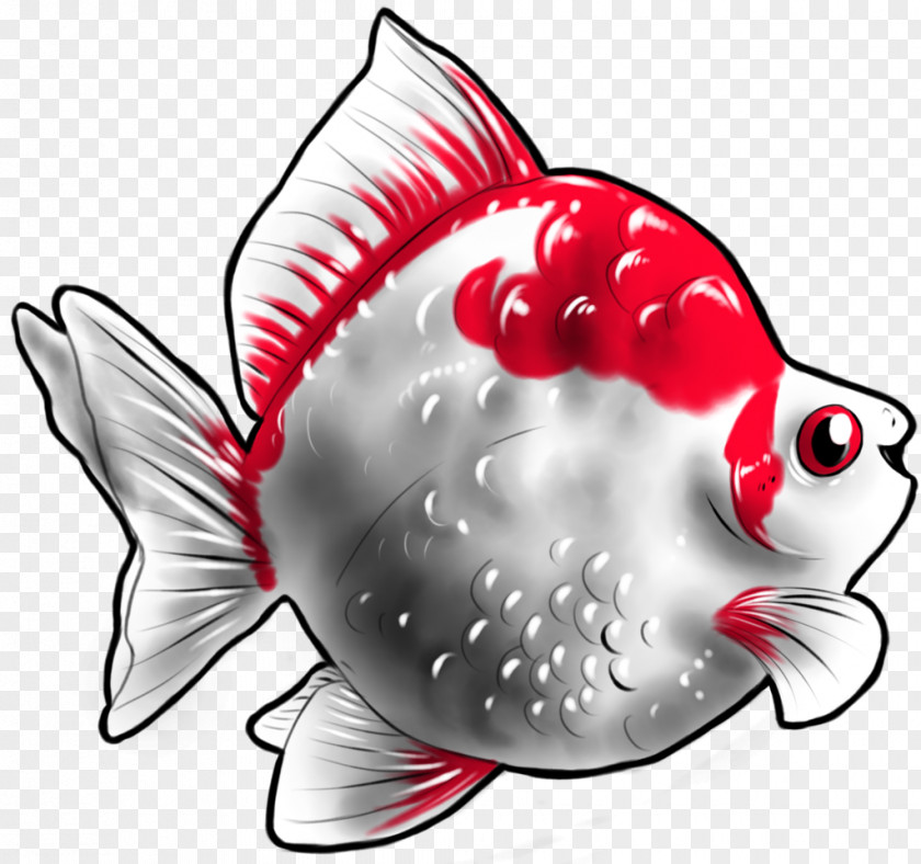 Goldfish Ryukin Fantail T-shirt Drawing PNG