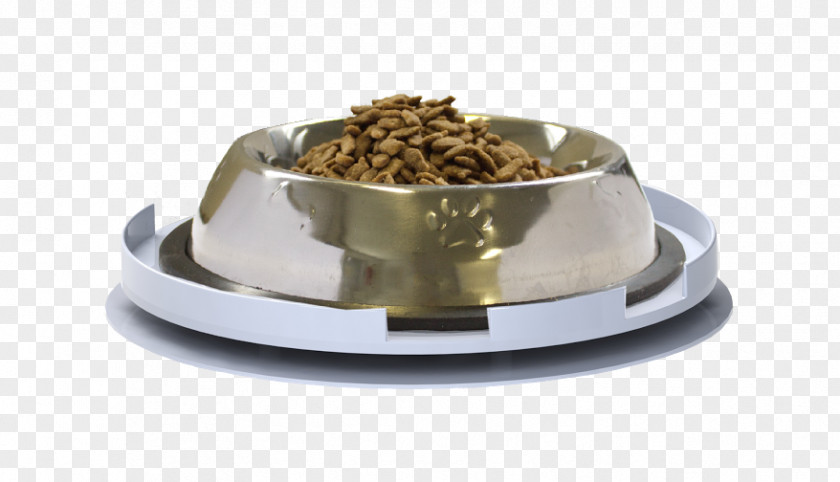 Quick As A Dog Can Lick Dish Bullet Ant Bowl Pet Cat PNG