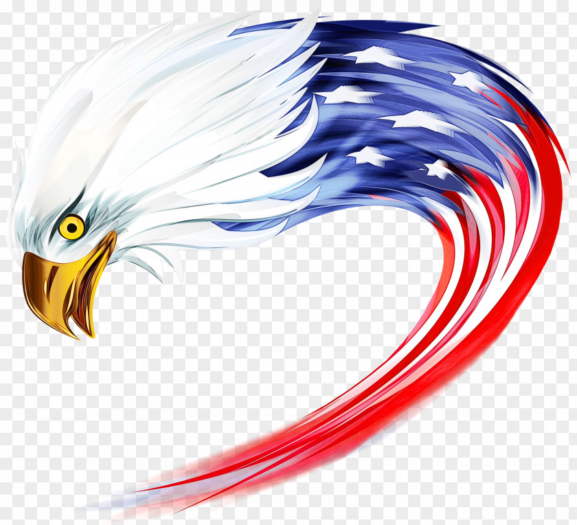 United States Bald Eagle Clip Art PNG