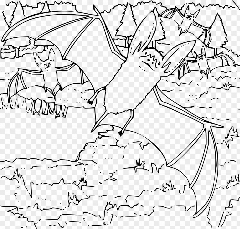 Bats Ozark Big-eared Bat Ozarks Drawing Clip Art PNG