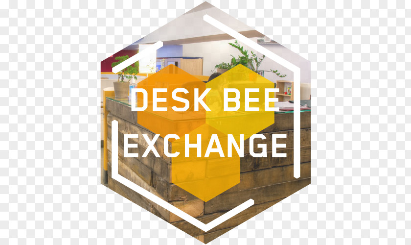Bee Hive Construction HiVE Brand Product Design PNG