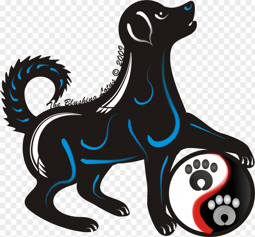 Border Collie Animal Figure Cat And Dog Cartoon PNG