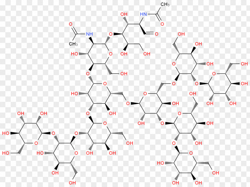 Coffee Molecule Structure Glycan N-Acetylglucosamine Di(N-Acetyl-D-Glucosamine) Sigma-Aldrich PNG