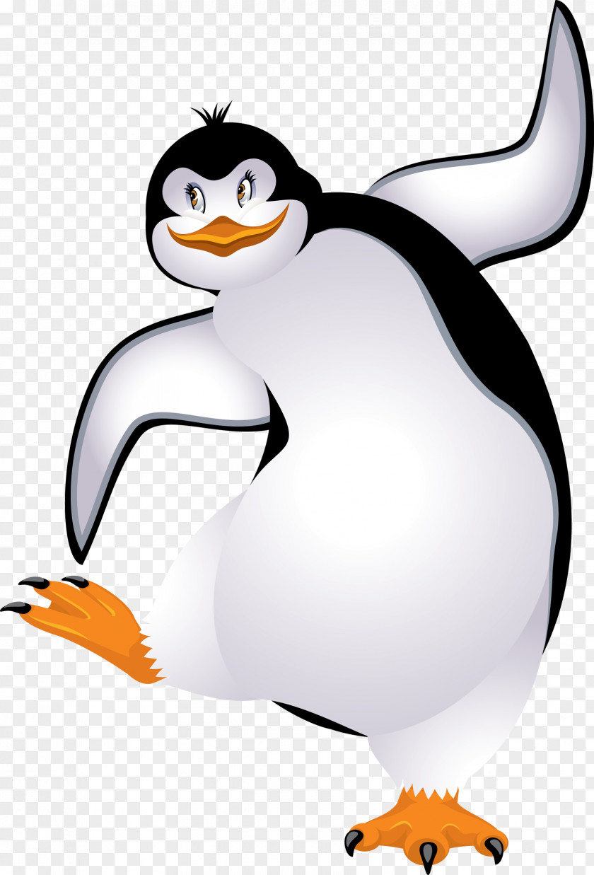 Penguin King Cygnini Clip Art PNG