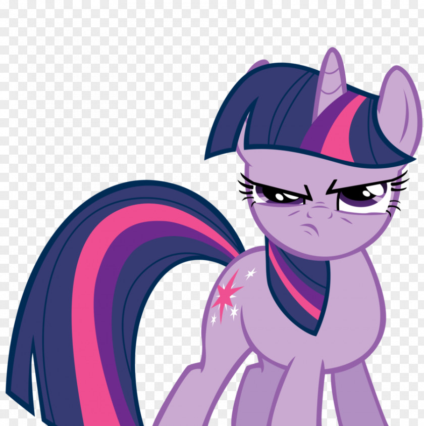 Twilight Sparkle Applejack Pony Rainbow Dash Rarity PNG