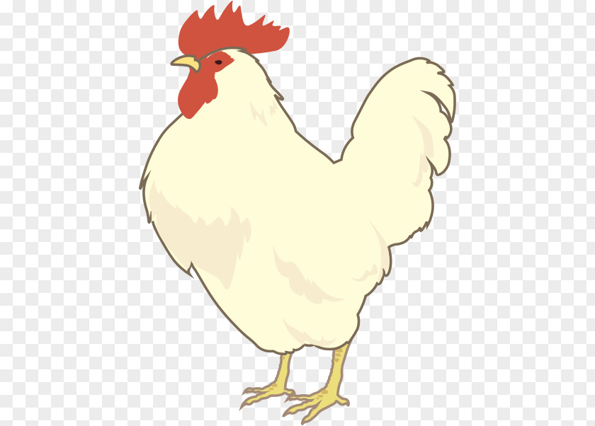 White Leghorn Rooster Chick Chicken Clip Art Foghorn PNG