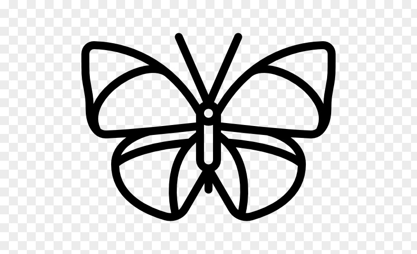 Butterfly Brush-footed Butterflies Line Art Symmetry Clip PNG