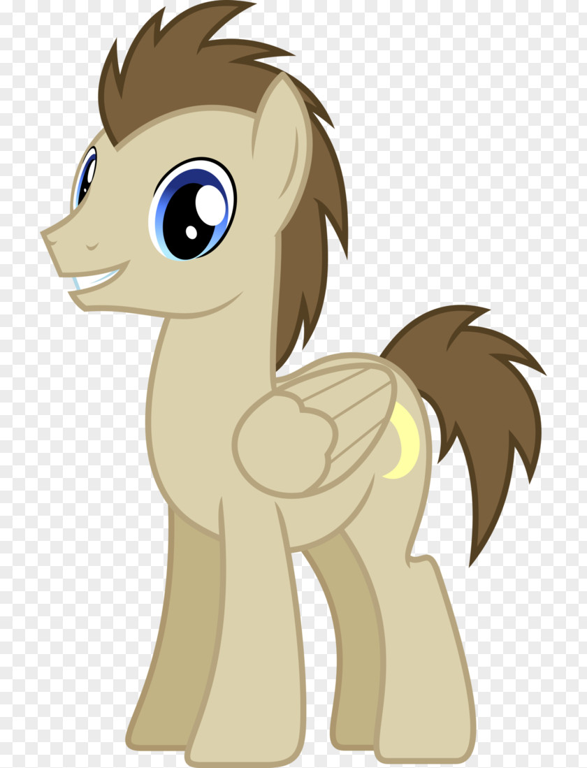 Doctor Pony Who Twilight Sparkle Derpy Hooves PNG