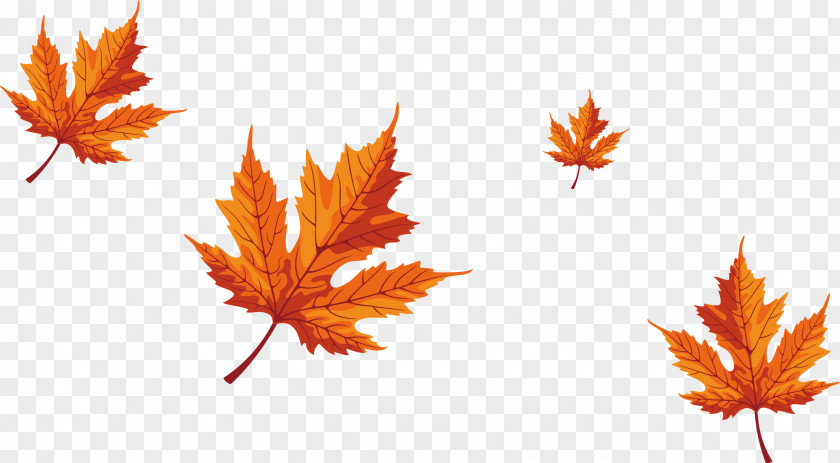 Falling Maple Leaves Leaf Red PNG