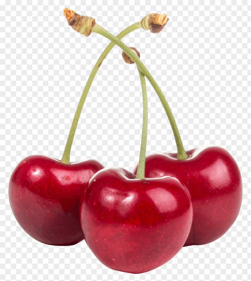 Flower Tree Cherry Plant Fruit Natural Foods Red PNG