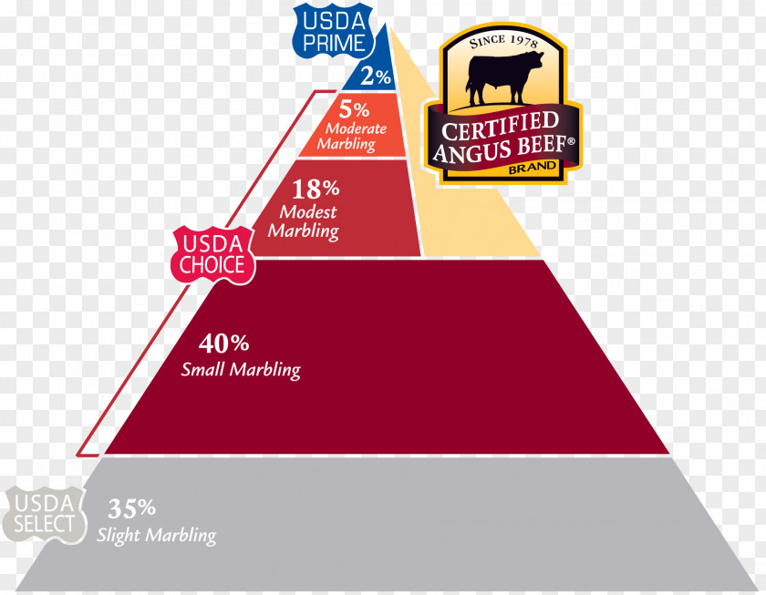 Food Pyramid Angus Cattle Hamburger Chophouse Restaurant Beef Meat PNG