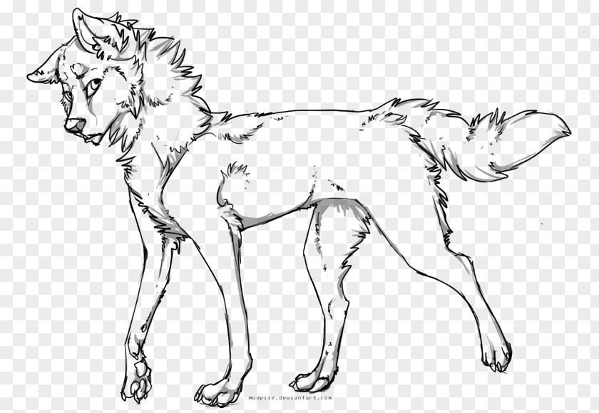 Husky Dog Line Art Drawing Painting Cat PNG