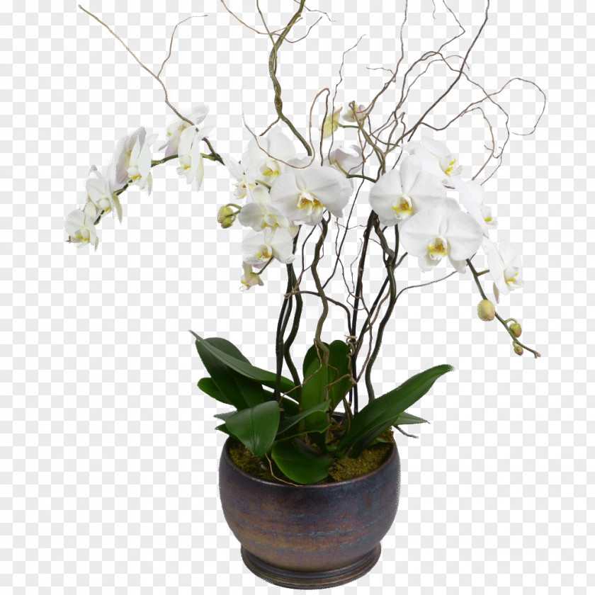 Orchid Artificial Flower Vase Floristry Floral Design PNG