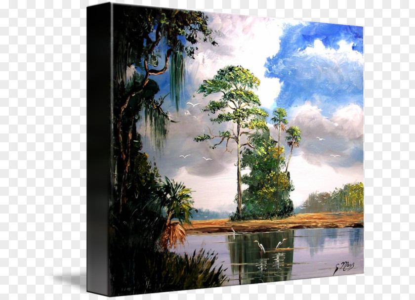 Painting Picture Frames Gallery Wrap Modern Art PNG