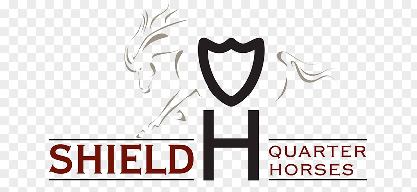 Quarter Horse American Association Logo Shield H Horses Foal PNG