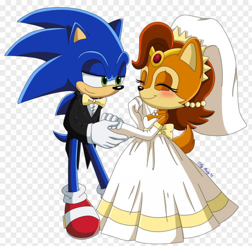 Acorn Amy Rose Sonic The Hedgehog & Sally Princess Shadow PNG